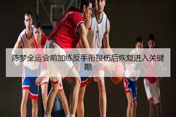 陈梦全运会前加练反手衔接伤后恢复进入关键期